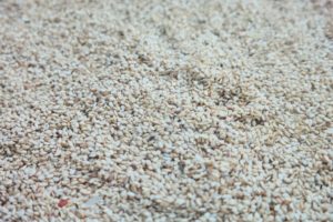 Sesame Seeds Export From Nigeria By Globexia