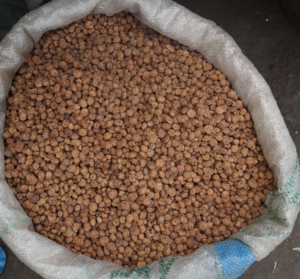 Tiger Nuts Export From Nigeria By Globexia