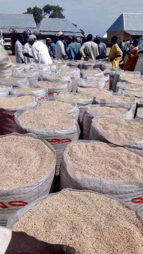 sesameseedsexporterinnigeriaglobexia1 Globexia Limited