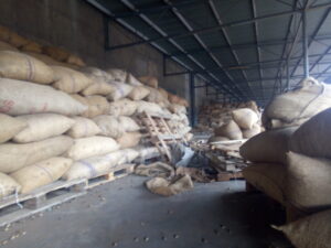 Raw Cashew Nuts Export From Nigeria By Globexia