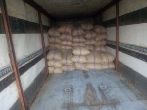 Raw Cashew Nuts Export From Nigeria By Globexia