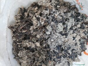 Black Stone Flower Export From Nigeria By Globexia - Kalpasi Export