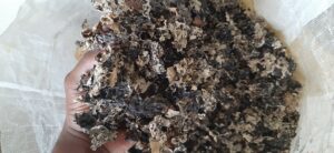 Black Stone Flower Export From Nigeria By Globexia - Kalpasi Export
