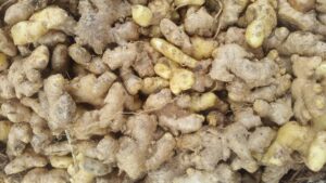 Fresh Ginger Export From Nigeria By Globexia