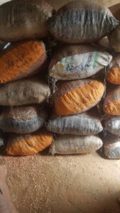 Peanuts Export From Nigeria By Globexia - Groundnuts Export