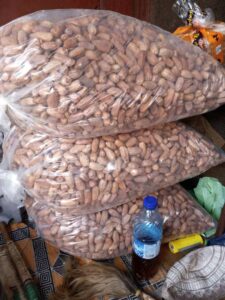 Dried Dates Export From Nigeria By Globexia