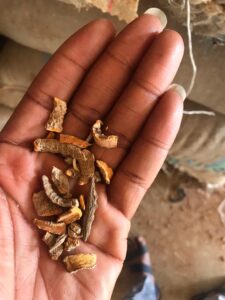 Turmeric Export From Nigeria By Globexia