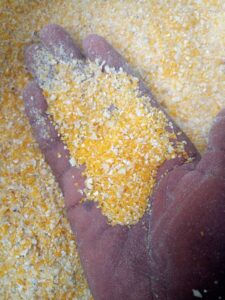 Corn Grits Export From Nigeria By Globexia