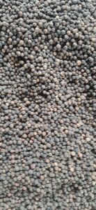 Black Pepper Export From Nigeria By Globexia