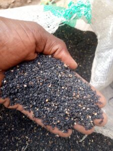 Black Sesame Seeds Export From Nigeria By Globexia