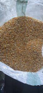 Popcorn Maize Kernels Supply In Nigeria By Globexia