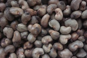 Cashew Nuts Export From Nigeria By Globexia