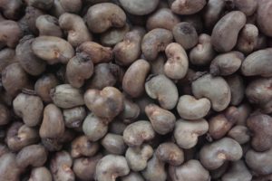 Cashew Nuts Export From Nigeria By Globexia