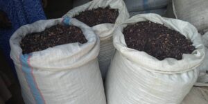 Black Stone Flower (Kalpasi) Export From Nigeria By Globexia