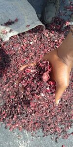 Dry Hibiscus Flower Export From Nigeria By Globexia