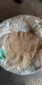 Sesame Seeds Export From Nigeria By Globexia