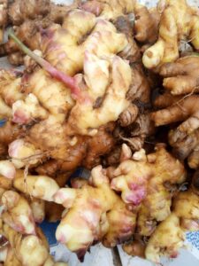 Fresh Ginger Export From Nigeria By Globexia