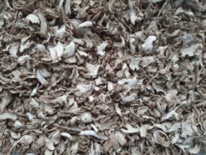 Dry Ginger Export From Nigeria By Globexia