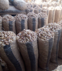 Garlic Export From Nigeria By Globexia