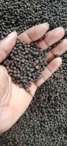 Black Pepper Export From Nigeria By Globexia