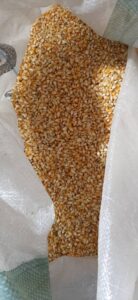 Popcorn Maize Kernels Supply In Nigeria By Globexia