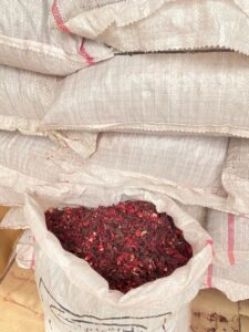 Dry Hibiscus Flower Export And Supply In Nigeria By Globexia